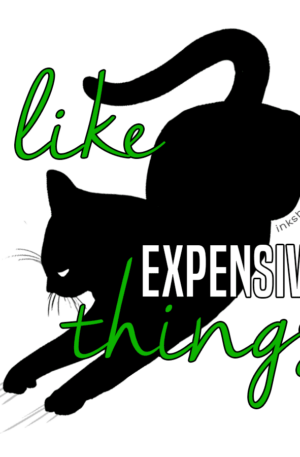 a drawing of a black cat clawing up the white background with the text: I like expensive things