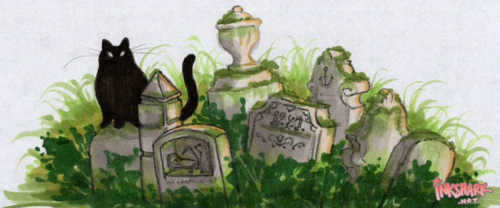 black cat sitting in afternoon sun among a collection of old mossy gravestones