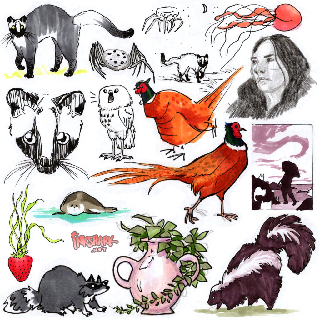 random doodles including pheasants, fruit jellyfish hybrids, a floofy skunk, and civets