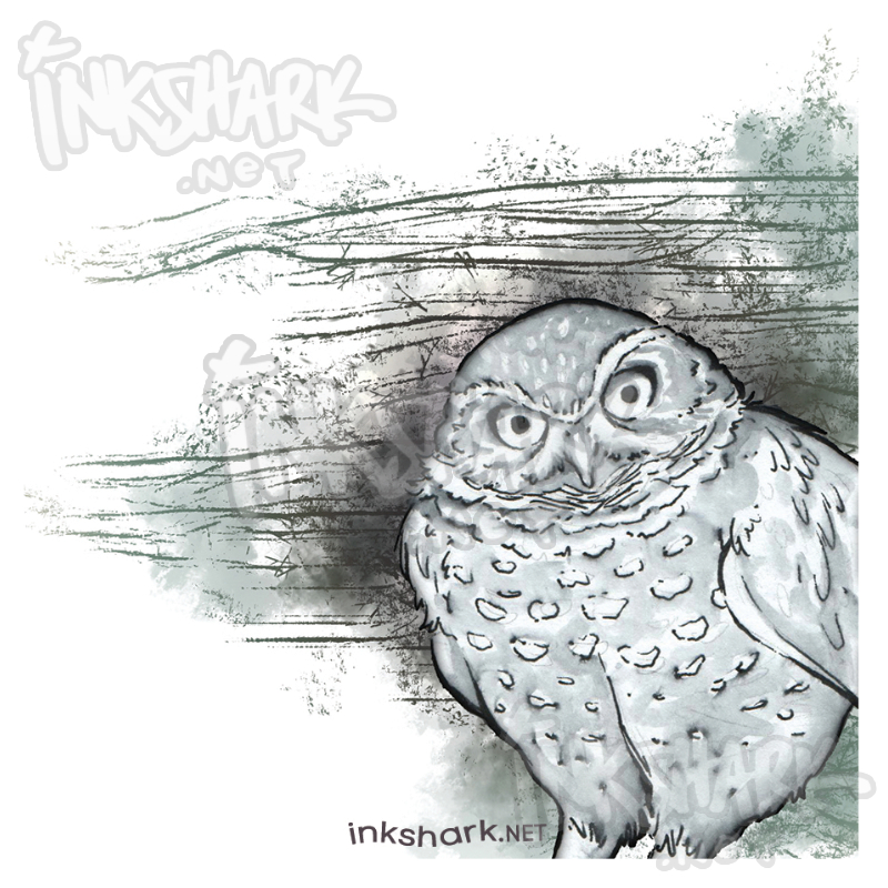 ink drawing of an owl staring at you in a way that reminds you that you've probably disappointed your parents