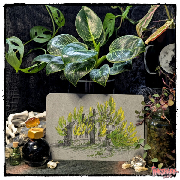 Sticker of a haunted house with foliage bursting through windows, posed with live plants in glass jars & witchy bottles