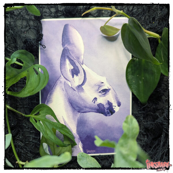Postcard of a watercolored kangaroo in violet, posed surrounded by live foliage