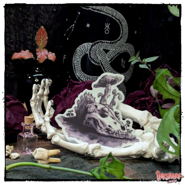 Sticker of a canine skull covered in fungi; product is cupped by a skeleton hand in front of dried roses and live plants