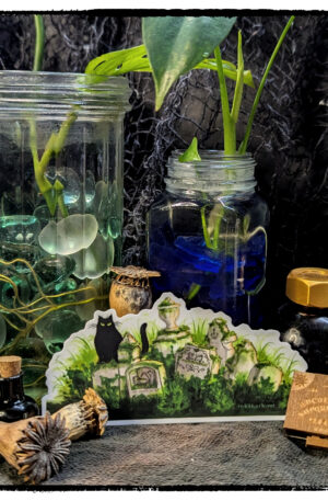 Sticker of a black cat guarding overgrown graves, posed against live plants in glass jars and the tiniest ouija board in the history of the witchy world