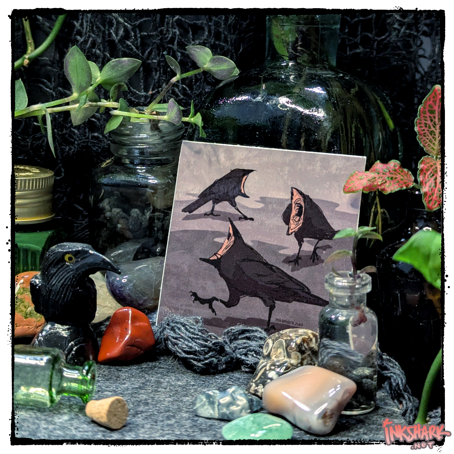 Sticker of three crows with enormous mouths stomping in a circle; surrounded by live plants and polished stones including one cut into the shape of a crow!