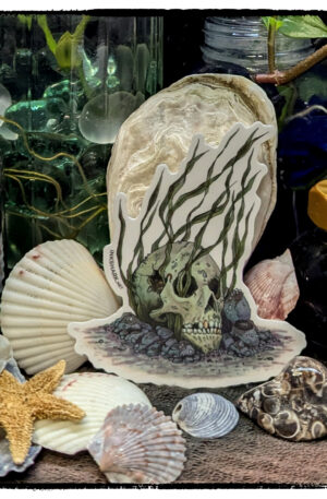 Sticker of a weirdo screaming seagull monster; product is posed among seashells and witchy jars